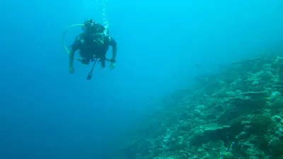 семейная пара британцев погибла во время отдыха на Мальдивах, фото - Новости Zakon.kz от 31.01.2026 00:30