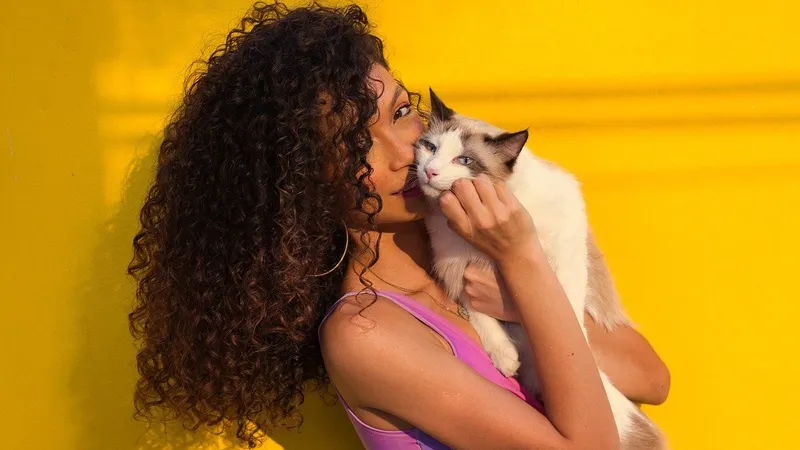 Зачем кошки мурлыкают: причин больше, чем кажется