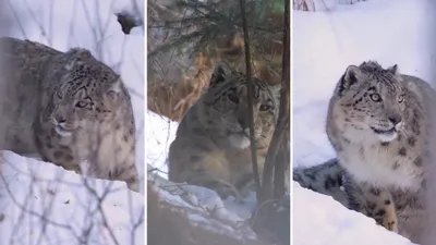 , фото - Новости Zakon.kz от 02.02.2026 14:50