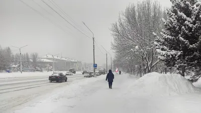В Усть-Каменогорске специалисты провели мониторинг качества воздуха, фото - Новости Zakon.kz от 02.02.2026 00:14