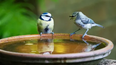 Гороскоп на 2 февраля, фото - Новости Zakon.kz от 02.02.2026 08:08