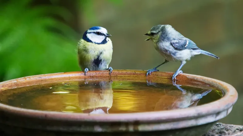 Гороскоп на 2 февраля: ставьте на диалог