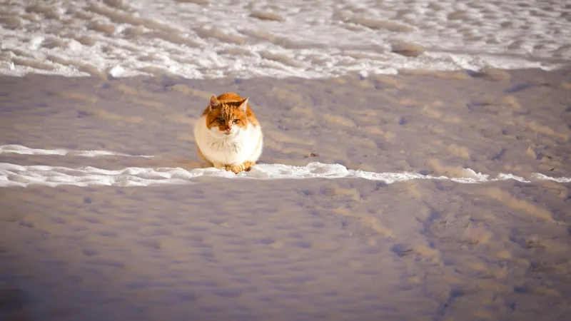 Тепло до +17°С придет в Казахстан