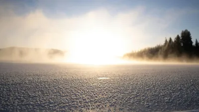 деревья, снег, солнце, фото - Новости Zakon.kz от 02.02.2026 16:10