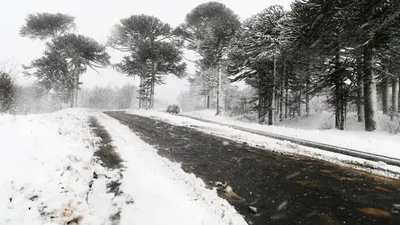 штормовое предупреждение, фото - Новости Zakon.kz от 03.02.2026 20:05