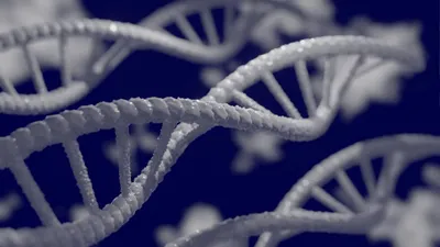 ДНК, клетки, фото - Новости Zakon.kz от 03.02.2026 08:40