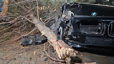 BMW вылетел с дороги и снес две сосны на проспекте Назарбаева в Алматы