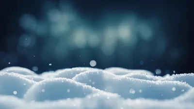 снег, фото - Новости Zakon.kz от 04.02.2026 15:25