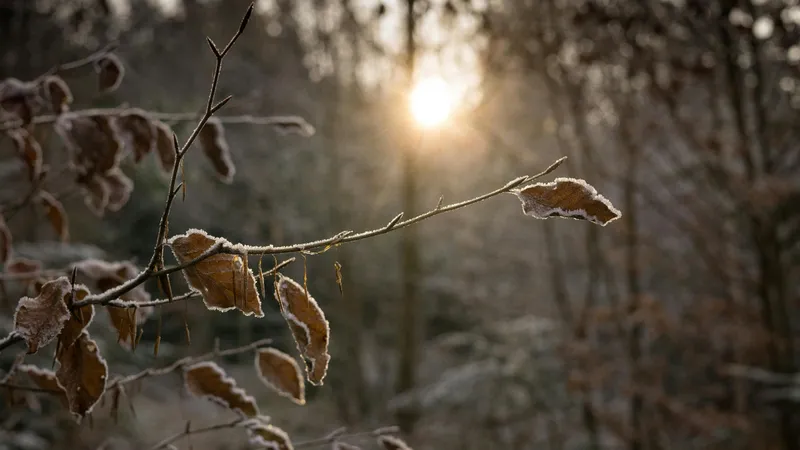 Какие регионы Казахстана 5 февраля обойдут стороной снегопады и дожди