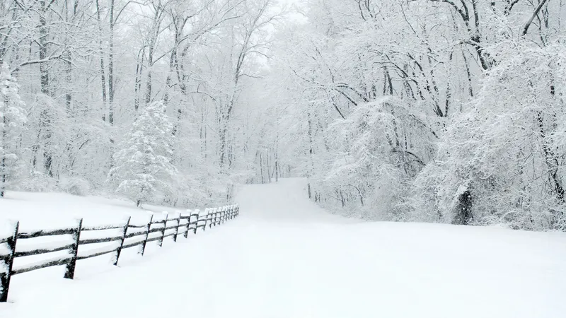 Сильные морозы, снегопады, дожди и ветер с метелью: синоптики сообщили о резком ухудшении погоды в Казахстане