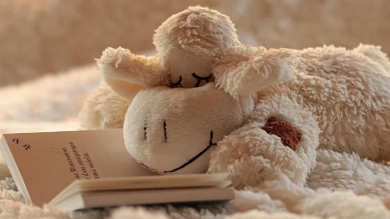 Гороскоп на 6 февраля: наведите порядок в мыслях