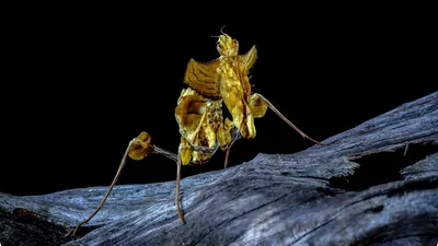 Космос, мрак, фото - Новости Zakon.kz от 05.02.2026 08:55