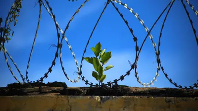 забор тюрьмы, фото - Новости Zakon.kz от 06.02.2026 14:17