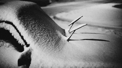 Снежные заносы, спасатели, МЧС РК, автомобили, водители, зима , фото - Новости Zakon.kz от 09.02.2026 16:41