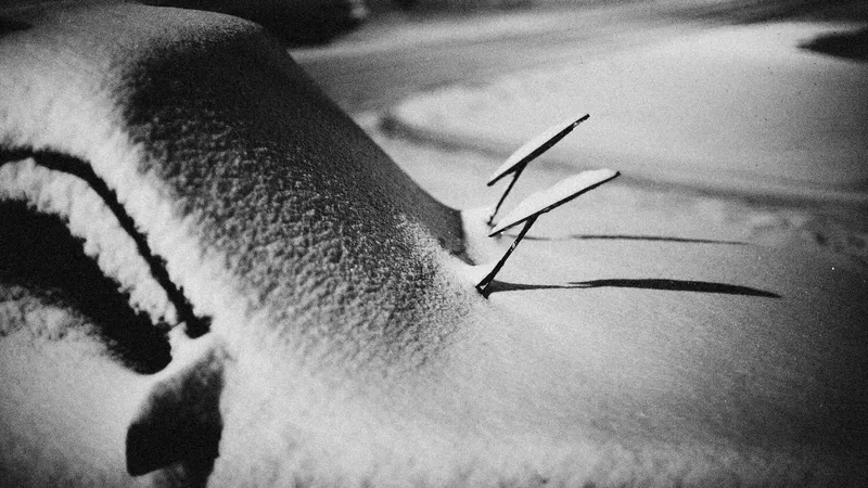 Когда ошибка может стоить жизни: как действовать на дороге в буран