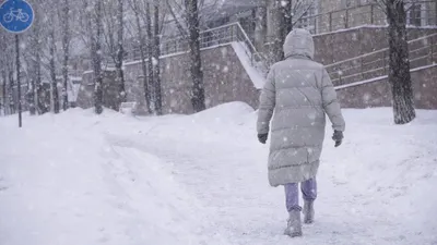 Погода, фото - Новости Zakon.kz от 10.02.2026 16:58