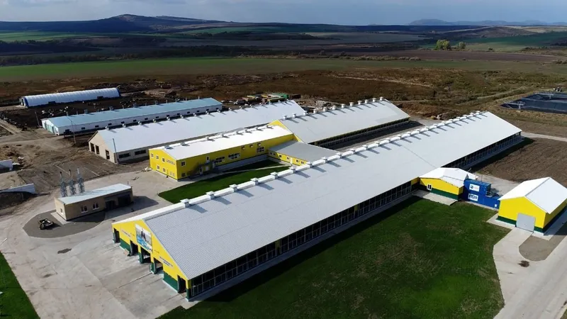 Экономика ВКО демонстрирует устойчивый рост