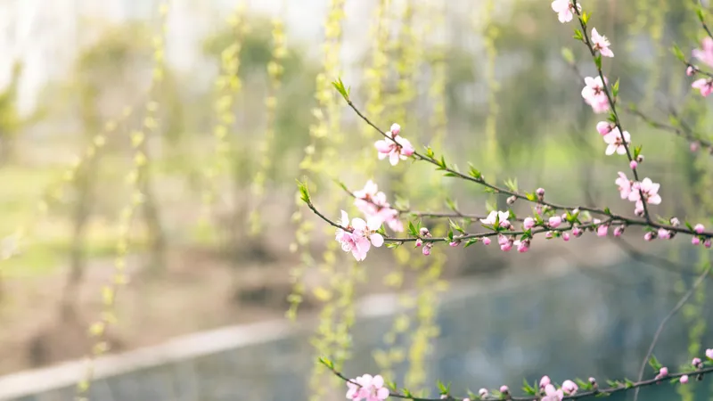 Пять знаков зодиака, кому весна 2026 года принесет счастье и богатство