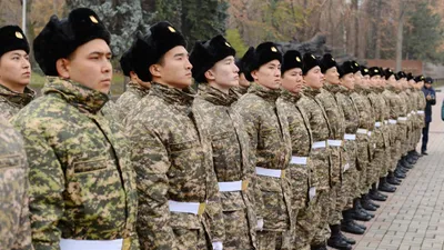 призыв в армию в Алматы, фото - Новости Zakon.kz от 10.02.2026 11:54