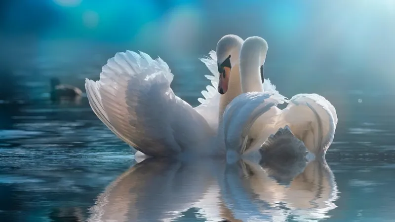 20 мертвых лебедей на побережье Каспия: эксперты проверяют версии отравления и травм