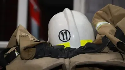 пожарные подозревают, что будку собаки могли поджечь , фото - Новости Zakon.kz от 11.02.2026 21:35