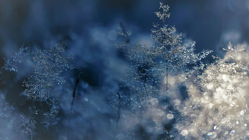 Где в Казахстане потеплеет до +5°С, а кому ждать морозов до -33°С