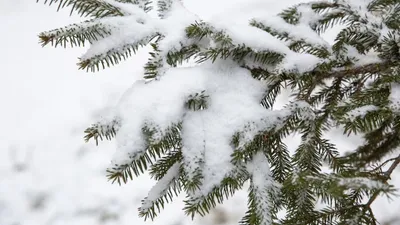 штормовое предупреждение, фото - Новости Zakon.kz от 11.02.2026 20:06