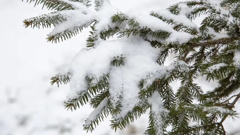 От тумана и дождя до снега и мороза: штормовое предупреждение объявили в Казахстане