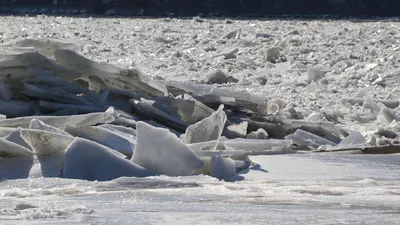 лед, мороз, фото - Новости Zakon.kz от 12.02.2026 16:22