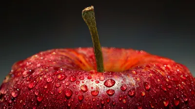 яблоко, фото - Новости Zakon.kz от 12.02.2026 14:52