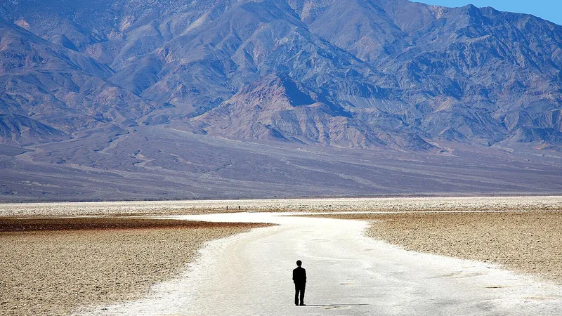 В Долине Смерти в 2026 году ожидается редкое суперцветение