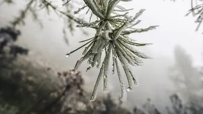 штормовое предупреждение, фото - Новости Zakon.kz от 13.02.2026 20:05