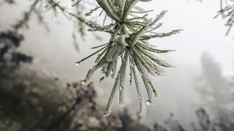 Туман, дождь и снег: какие регионы Казахстана охватило штормовое предупреждение