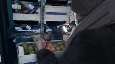 проверка груш из Бельгии, фото - Новости Zakon.kz от 13.02.2026 09:27