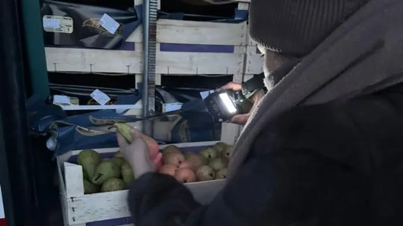 В Казахстане объяснили, почему почти 20 тонн груш из Бельгии развернули обратно