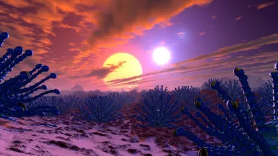 Солнце, фото - Новости Zakon.kz от 13.02.2026 12:19