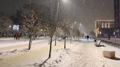 дороги, снег, деревья, фото - Новости Zakon.kz от 13.02.2026 10:21