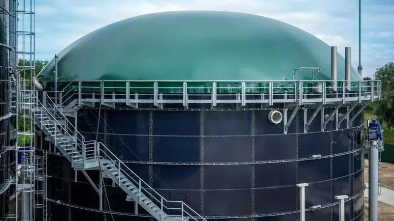 От навоза к свету в домах: как простая технология может поднять целые регионы