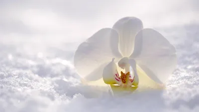 , фото - Новости Zakon.kz от 13.02.2026 15:16