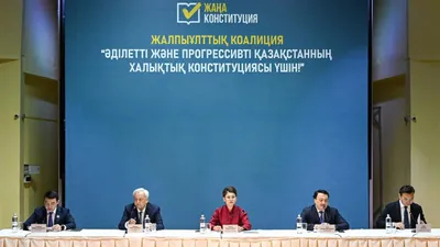 Аида Балаева: Судьба новой Конституции – это общее дело не только юристов и политиков, но и всего общества
