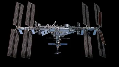 Российский космонавт Федяев прибыл на МКС вместе с Crew Dragon, фото - Новости Zakon.kz от 15.02.2026 01:50