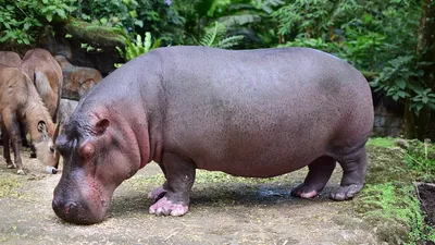 , фото - Новости Zakon.kz от 18.02.2026 14:58