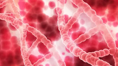 Организм, сосуды, ДНК, фото - Новости Zakon.kz от 15.02.2026 08:40