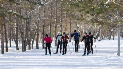 лыжники, фото - Новости Zakon.kz от 16.02.2026 15:15