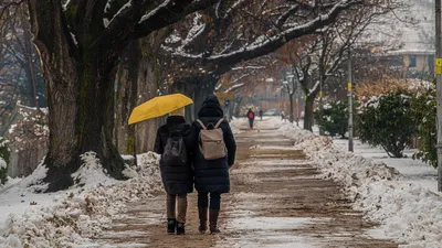 люди, деревья, снег, фото - Новости Zakon.kz от 16.02.2026 18:04