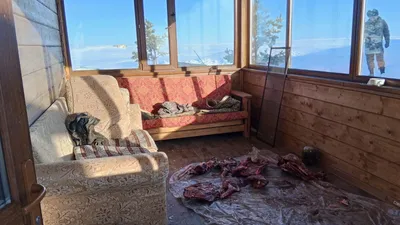 Акмолинского егеря заподозрили в незаконной охоте, фото - Новости Zakon.kz от 16.02.2026 20:05