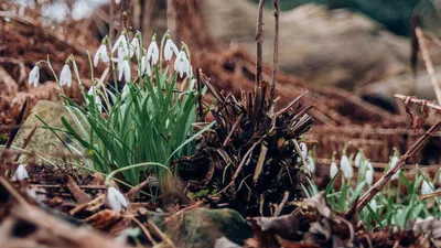 , фото - Новости Zakon.kz от 24.02.2026 10:35