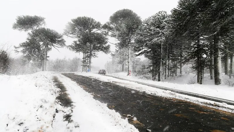 Штормовое предупреждение: дождь, метель и гололед накроют Казахстан