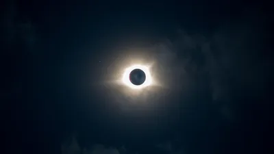 солнечное затмение, фото - Новости Zakon.kz от 17.02.2026 16:22
