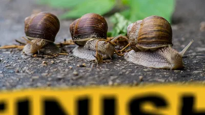 Гороскоп на 18 февраля, фото - Новости Zakon.kz от 18.02.2026 08:10